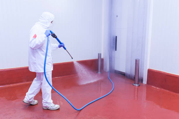 Best Solar Panel Cleaning  in Oak Grove, VA